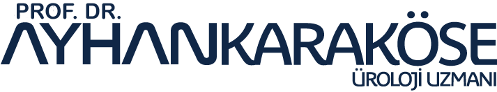 Prof. Dr. Ayhan Karaköse — Üroloji Uzmanı